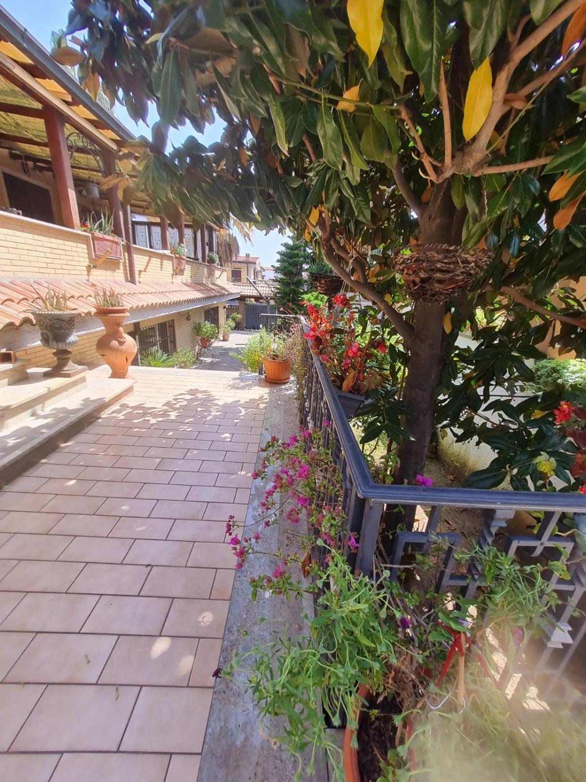Ferienhaus Mattei Dreams *